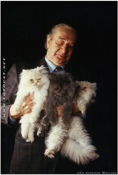 Alter Mann mit seinen Katzen