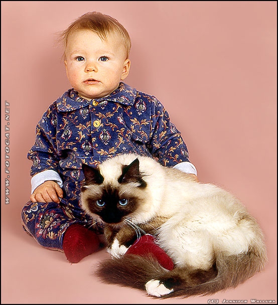 Baby und Katze