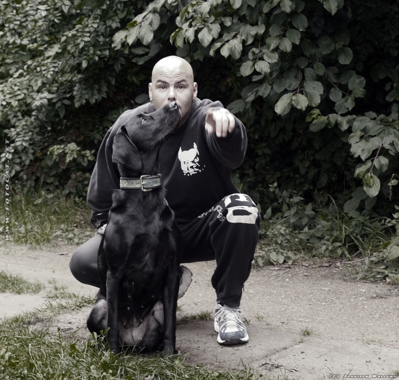 Ein Hund, der seinen Menschen liebt