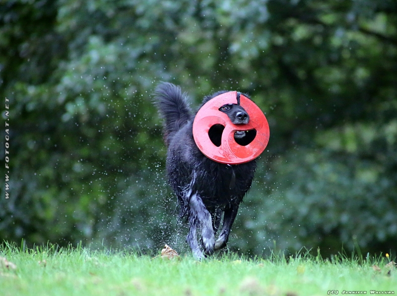 ich kann auch eine auge sehen :-)
