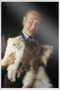 Alter Mann mit seinen Katzen